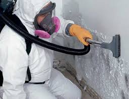 Mold Removal for HVAC Installations in Clear Lake, WI